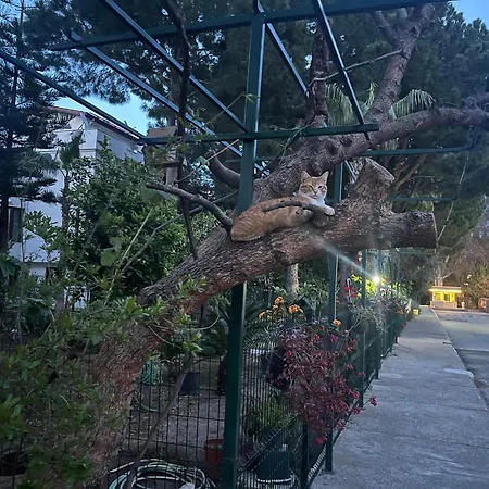 Hekimkoy Villa *